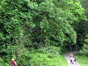  Trail to Kensico Dam.